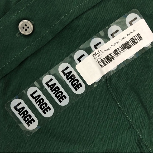 HUNGRY GHOST PRESS Beautiful Things Button Down Work Shirt- L - Picture 4 of 9